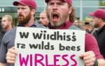 Владельцы ПВЗ Wildberries объявили о масштабной забастовке из-за новых штрафов
